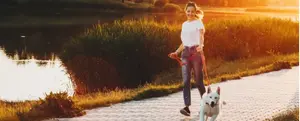 Workshop on Dog Behavior During Walks